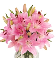 Bouquets - Lightness