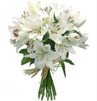 Dream cloud - Composition: lily white,ornamental foliage,packing.