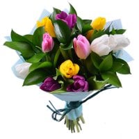 11 tulips 11 tulips - Composition: tulips mix,greens,packing.
