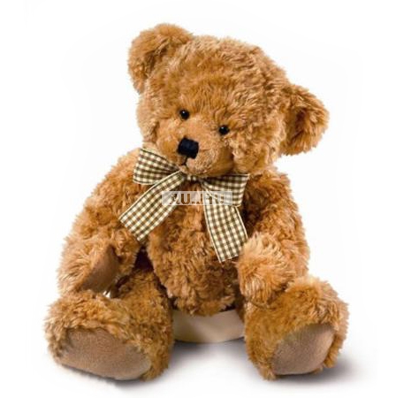 �������� ������ Teddy