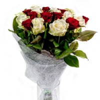 History of Roses - Composition: rose red,Rose White,ornamental foliage,packing.
