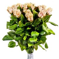 Touch - Composition: Rose cream,ornamental foliage,packing.