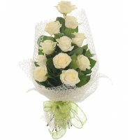 White Night - : Rose White,ornamental foliage,packing.