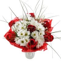 Chic - : rose red,white chrysanthemum daisy,ornamental foliage,packing.