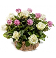 �onfession - Composition: rose pink,Rose White,ornamental foliage,basket.