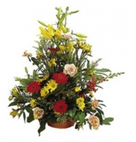 Colourful Arrangement