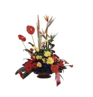 Flowers order Semarang