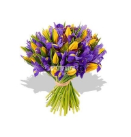 Florencia - Composition: iris blue,ornamental foliage,packing,yellow tulip.