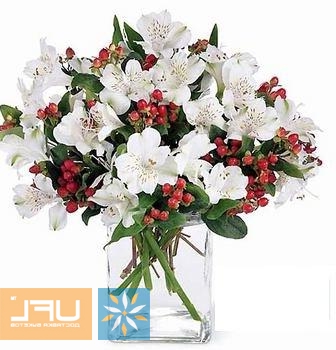 Order now Berry
