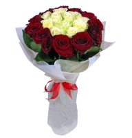 Casablanca - Composition: rose red,Rose White,packing.