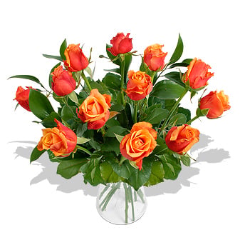 Order now Apricot