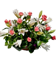 Roses and Camomiles - Composition: rose red,lily white,ornamental foliage,packing.