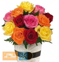Fantastic Dream - : rose colored ,ornamental foliage,packing.