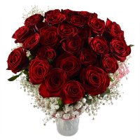Winning March - Composition: rose red,packing,white gypsophila.