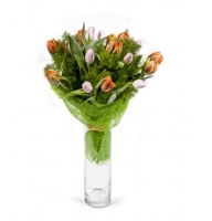Friendly greeting - Composition: tulip,packing.