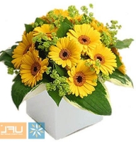 Sunny Day - Composition: ornamental foliage,yellow gerbera,packing.