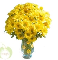 Bouquets - Sun Ray