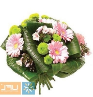 Etude - Composition: ornamental foliage,packing,aspidistra,Chrysanthemum green,pink chrysanthemum,pink gerbera.
