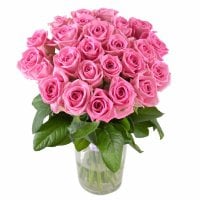 Be with you - Composition: rose pink.