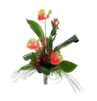 Butterfly - Composition: hiperikum red,ornamental foliage,packing,Anthurium.