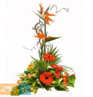 Palermo - Composition: orange gerbera,ornamental foliage,yellow tulip,basket,Strelitzia,Freesia Orange.