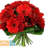 Mozart - Composition: rose red,amaryllis,ornamental foliage,packing,red gerbera.