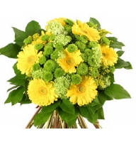 Business bouqe - Composition: ornamental foliage,packing,Chrysanthemum green,yellow gerbera.