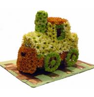 Fabulous locomotive - Composition: Chrysanthemum colored.