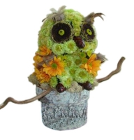 Auntie Owl - Composition: Chrysanthemum green.