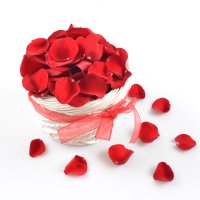 Rose Petals - Composition: rose red.