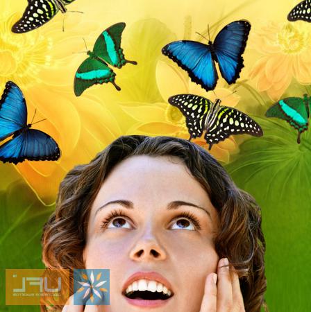 Order now Butterfly Salute