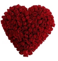 Rose heart (145 roses) - Composition: rose red,oasis-heart.