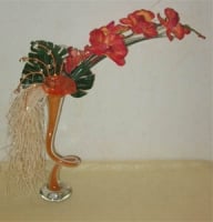 Compositions - Orange orchidea in a curved vase.