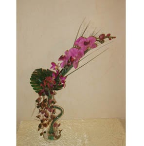 Order now Violet orchid in a curved vase