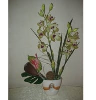 Compositions - Composition of two green orchids and anthurium