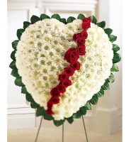 Ritual composition in form a heart - Composition: rose red,Chrysanthemum colored,carcase,ornamental foliage.