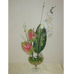 Order now �rchid with anthuriums