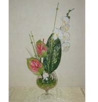 Compositions - �rchid with anthuriums