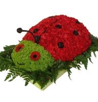  - Composition: Red Carnation,Chrysanthemum green.