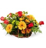 Souvenir - Composition: rose red,yellow gerbera,Chrysanthemum Yellow,ornamental foliage.