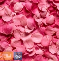 Pink rose petals - Composition: rose pink,packing.