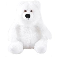 Atlantic Teddy