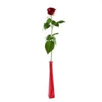 Red Rose - : rose red,ornamental foliage,packing.