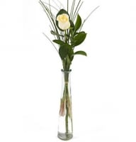 Bouquets - White Rose