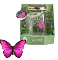 Eternal butterflies