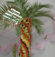 Fruit palm