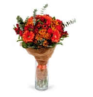 Energy - Composition: orange gerbera,red chrysanthemum,Alstroemeria Red,orange roses,packing,eucalyptus.