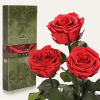 3 long time fresh roses in a box