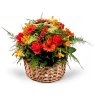 Flash - Composition: orange roses,Chrysanthemum colored,Alstroemeria,ornamental foliage,basket.