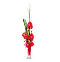 Red arrow